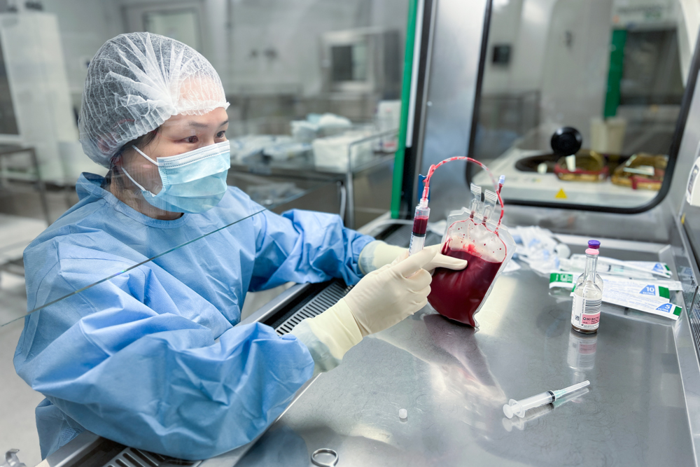 Laboratory processing for cell therapy